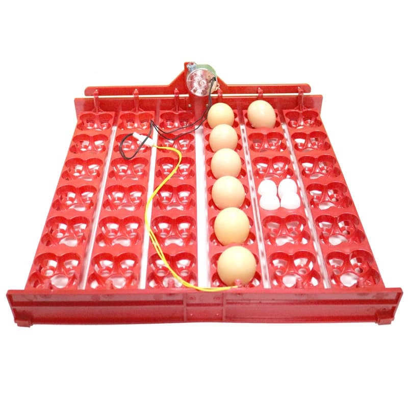 Bandeja incubadora de huevos de codorniz, 36 huevos/144, pollos, 1/240 o 2,5 r/min, patos, palomas y otros pájaros, loros, suministros para