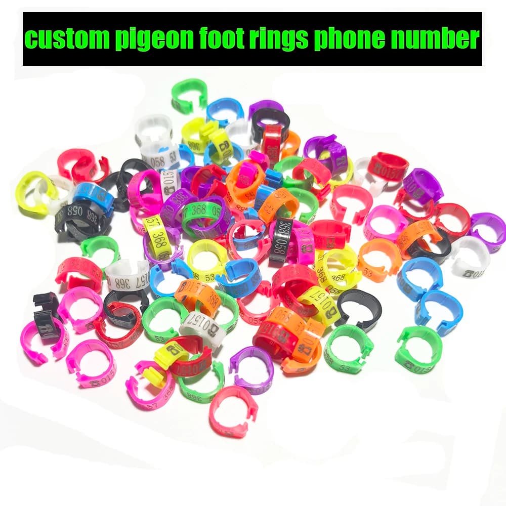 Bandas personalizadas para patas de palomas, productos para pájaros, anillos para palomas para mascotas, anillos para pájaros, bandas para palomas