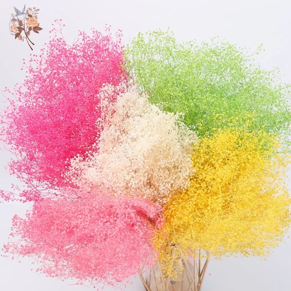 Ramo de coronas de flores secas naturales, decoración de boda, Eternell seco, Mini Gypsophila, arreglo para el hogar del Día de San Valentín