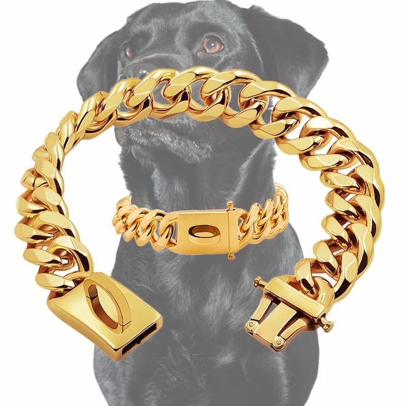 Collar dorado para perro, Gargantilla de Metal de acero inoxidable para mascotas, plomo plateado de 19mm de ancho para perros medianos y grandes,