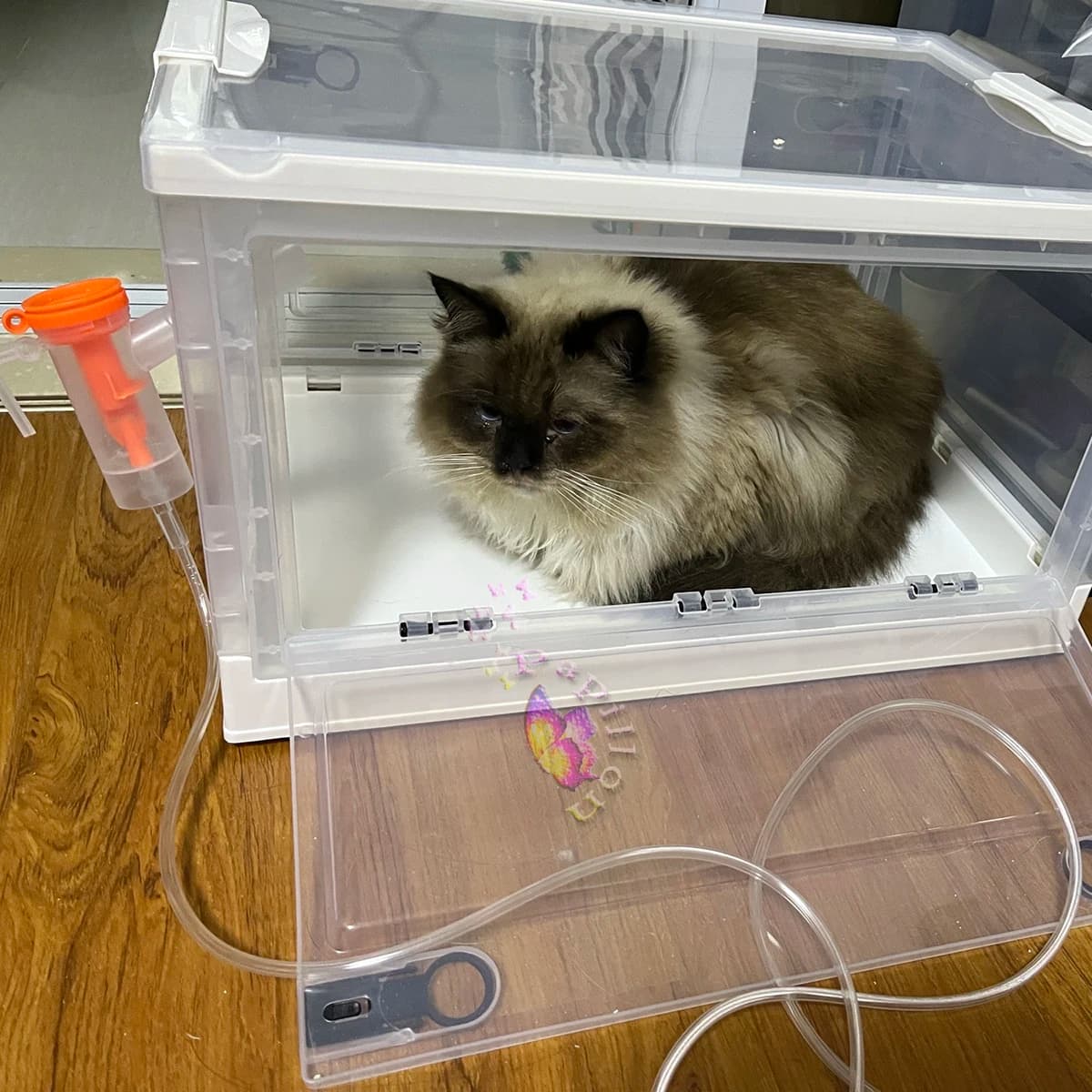 Caja de nebulización plegable para sala de oxígeno, jaula de oxígeno portátil para mascotas, caja de atomización veterinaria para animales