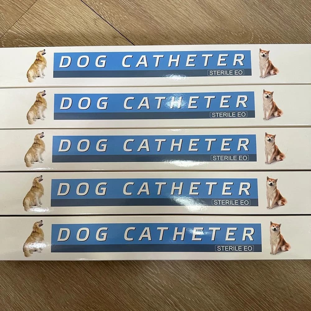 Catéteres urinarios estériles para perros, catéteres de piedra uretral estériles de veterinario, catéter de PVC desechable de 20 piezas, cavidad