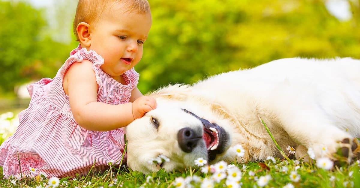 Crea recuerdos con una sesión de fotos para 1 persona, familia o bebés