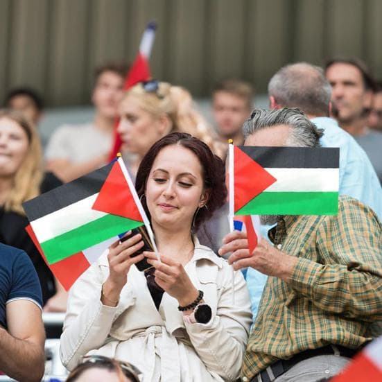 10/20/50/100 Uds. Mini banderas de Palestina con poste, pequeñas banderas de palo de Palestina de mano, banderas para agitar con la mano en miniatura