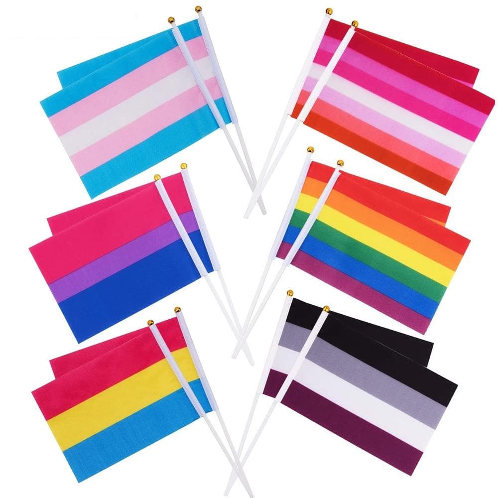 10 banderas del orgullo gay fáciles de sostener, minibandera arcoíris homosexual con mástiles para ovaciones, accesorios para fiestas, festivales y