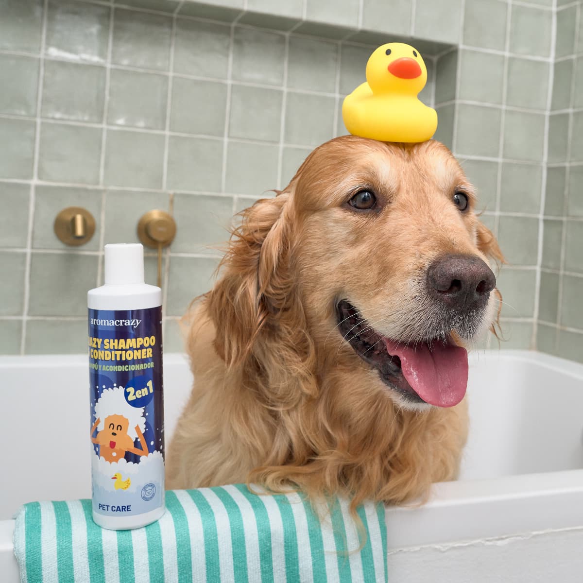 Champú + Acondicionador PetCare 300ml view 2