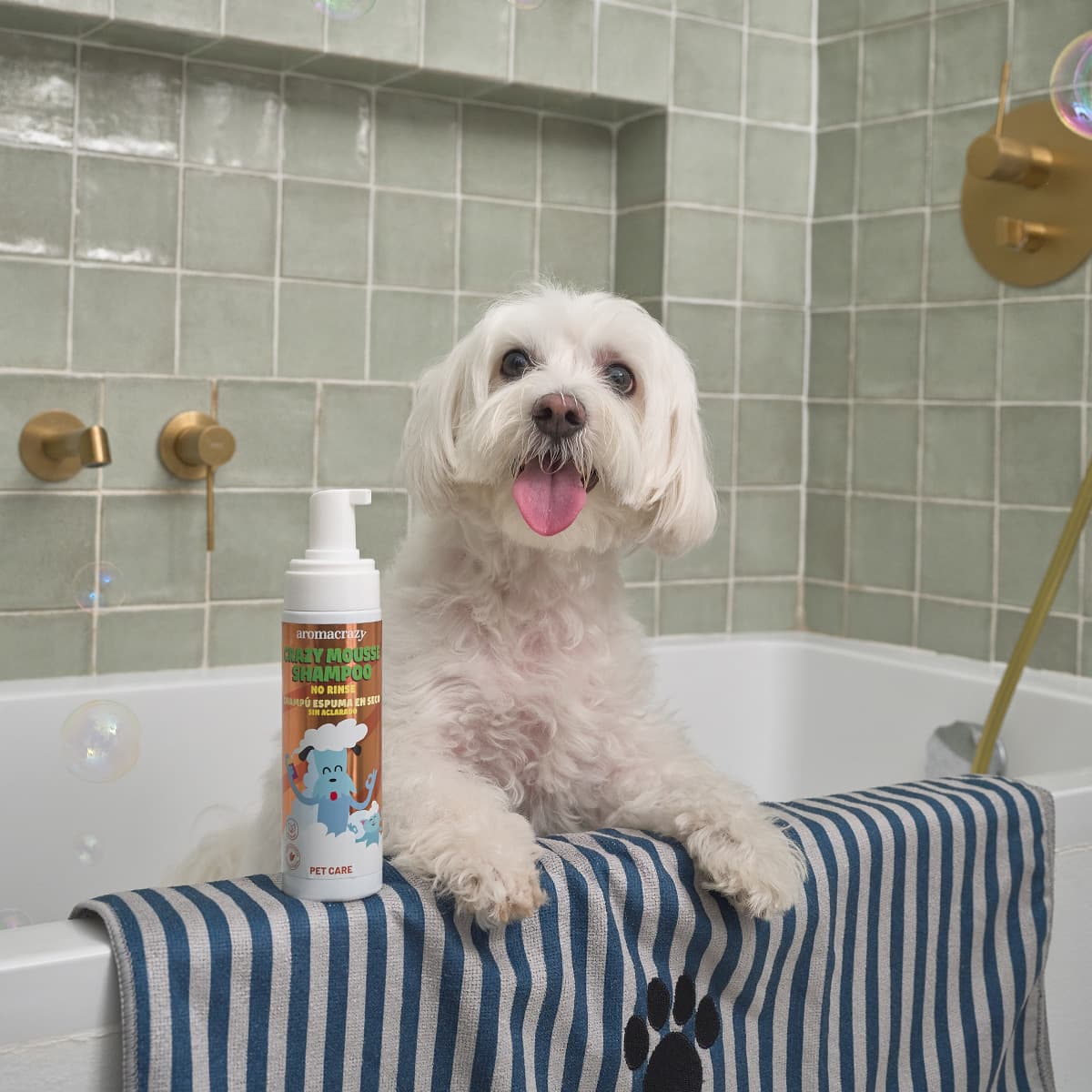 Champú Espuma en Seco Petcare 200ml view 2