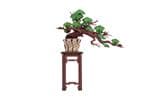 Puzzle 3d Robotime Rolife Evergreen Pine Bonsai