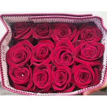 Set 25 Rosas Rojo
