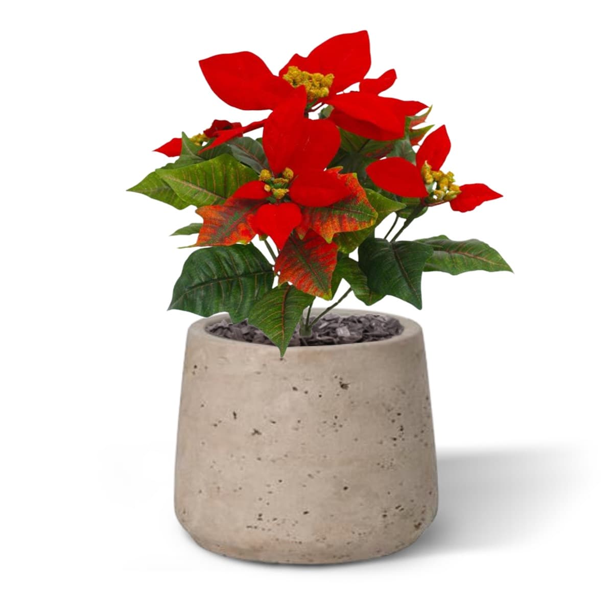 Poinsettia planta artificial 25cm - rojo