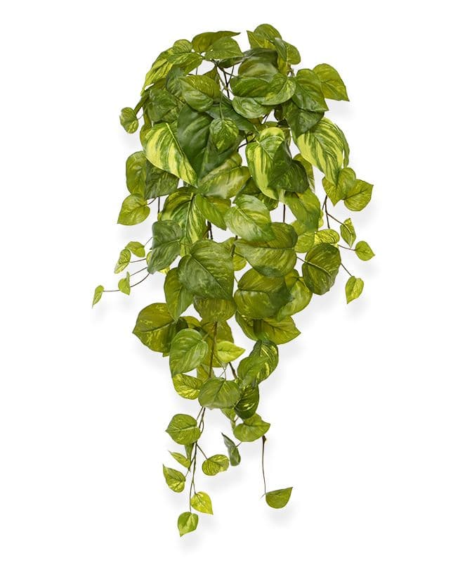 Pothos artificial planta colgante 55 cm var.