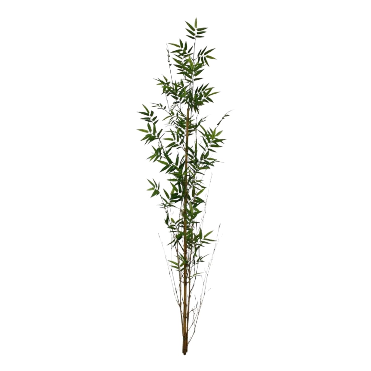 Bambú oriental rama artificial recta 150cm