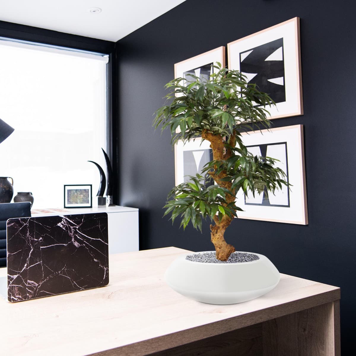 Shirakashi Bonsai x3 árbol artificial sobre base 80cm